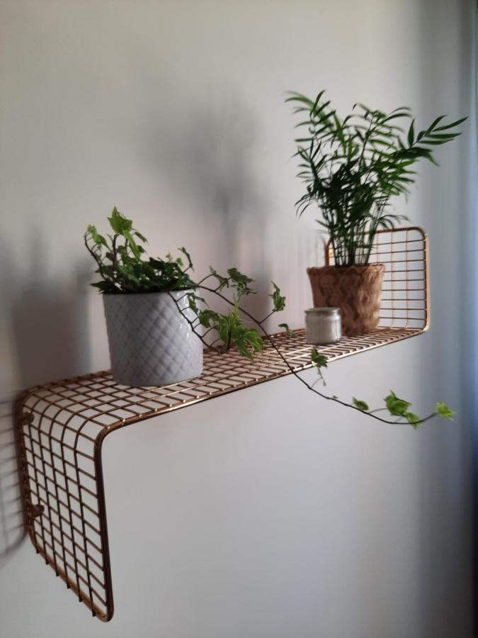 Appartement Apartament W Centrum Wroclawia Extérieur photo