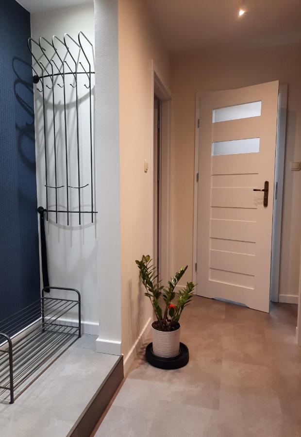 Appartement Apartament W Centrum Wroclawia Extérieur photo